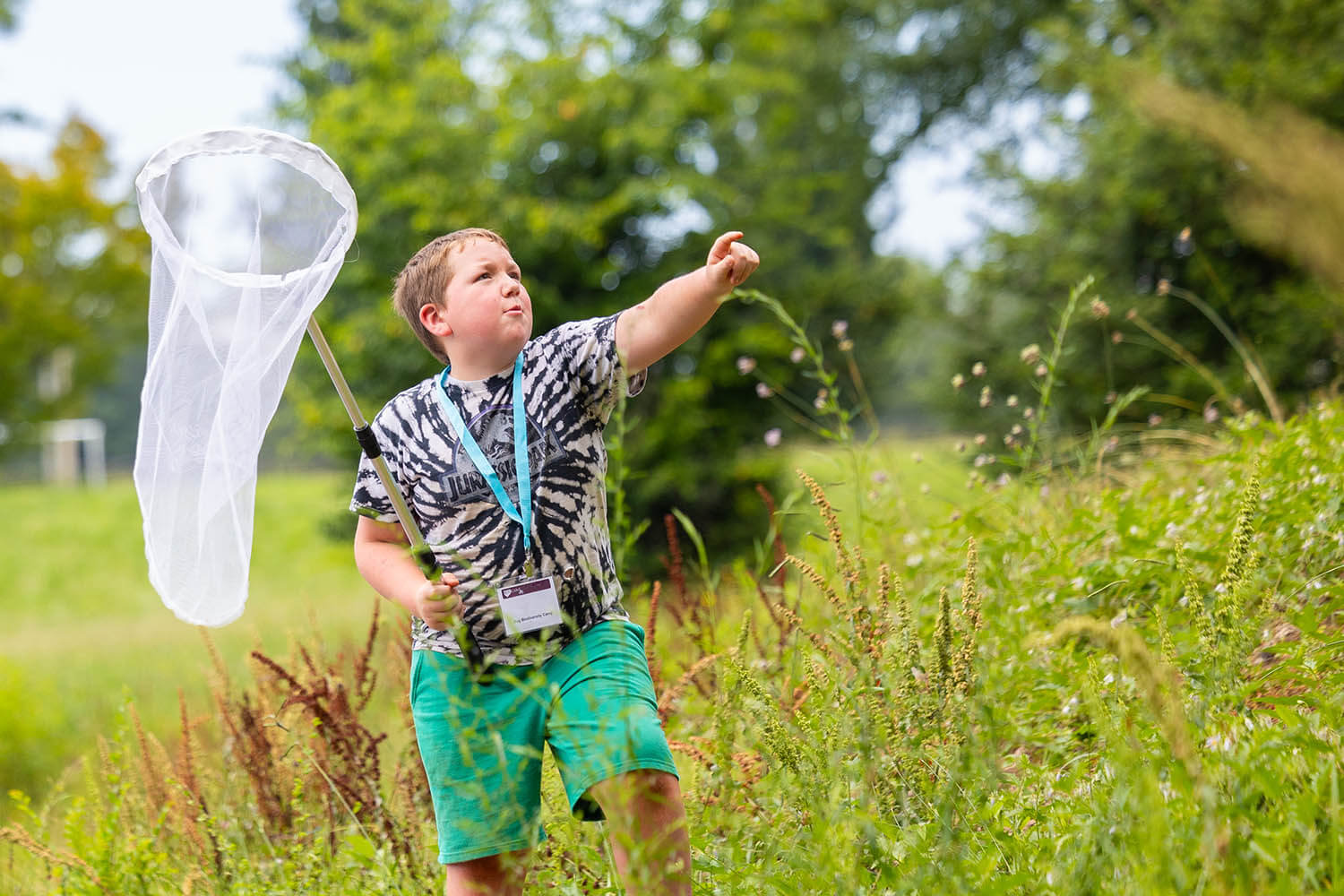 Campers explore insect specimens during the Bug Biodiversity camp of EDUcamp Jr. at Bob Jones University, June 11, 2025. (Photo by Derek Eckenroth)