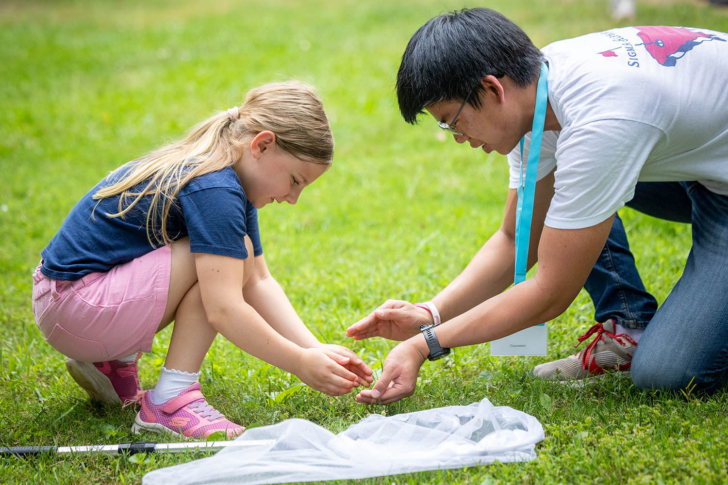 Bug Biodiversity (Elementary)